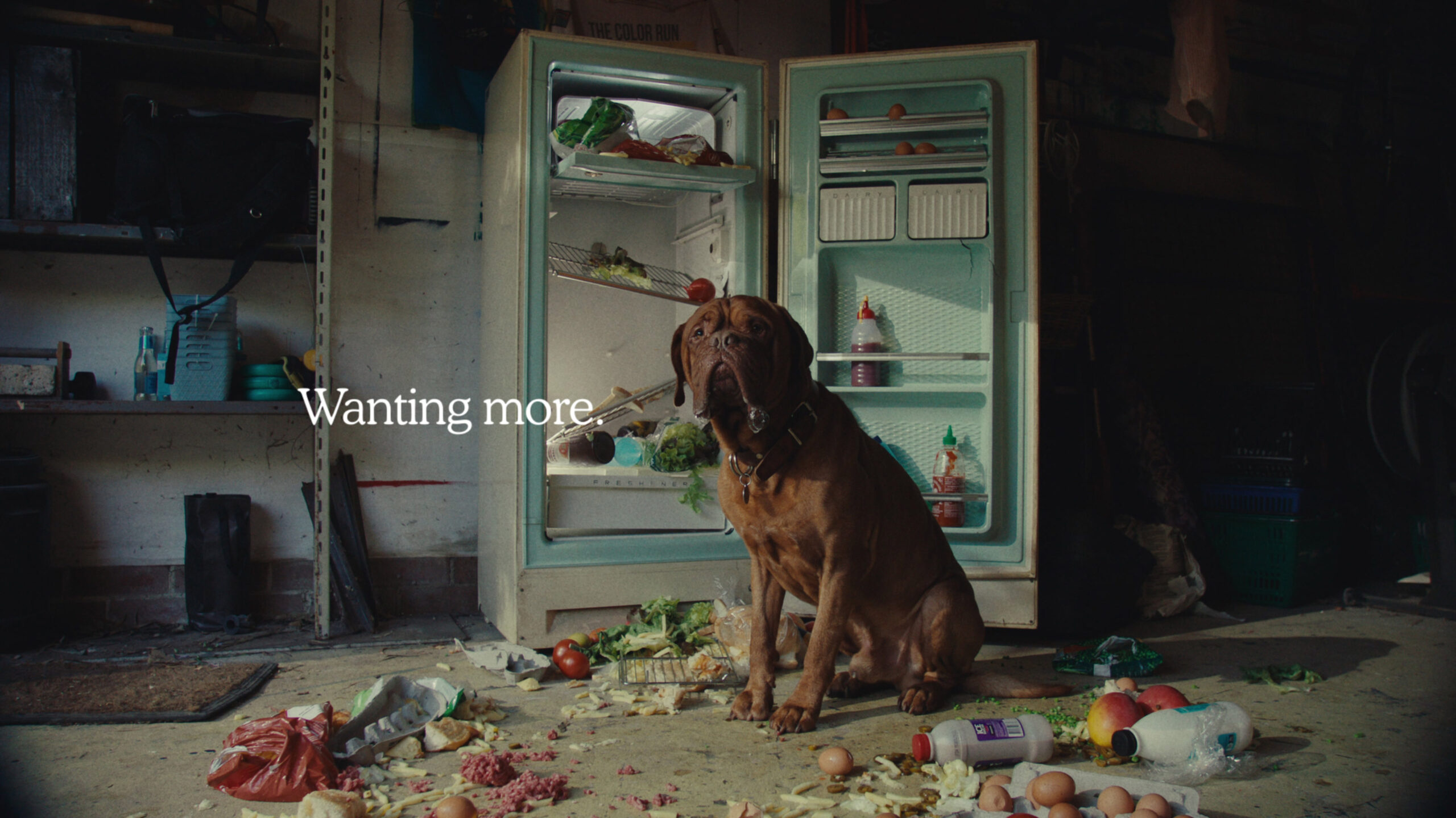 WESTPAC_FRIDGE_TITLES_00090595
