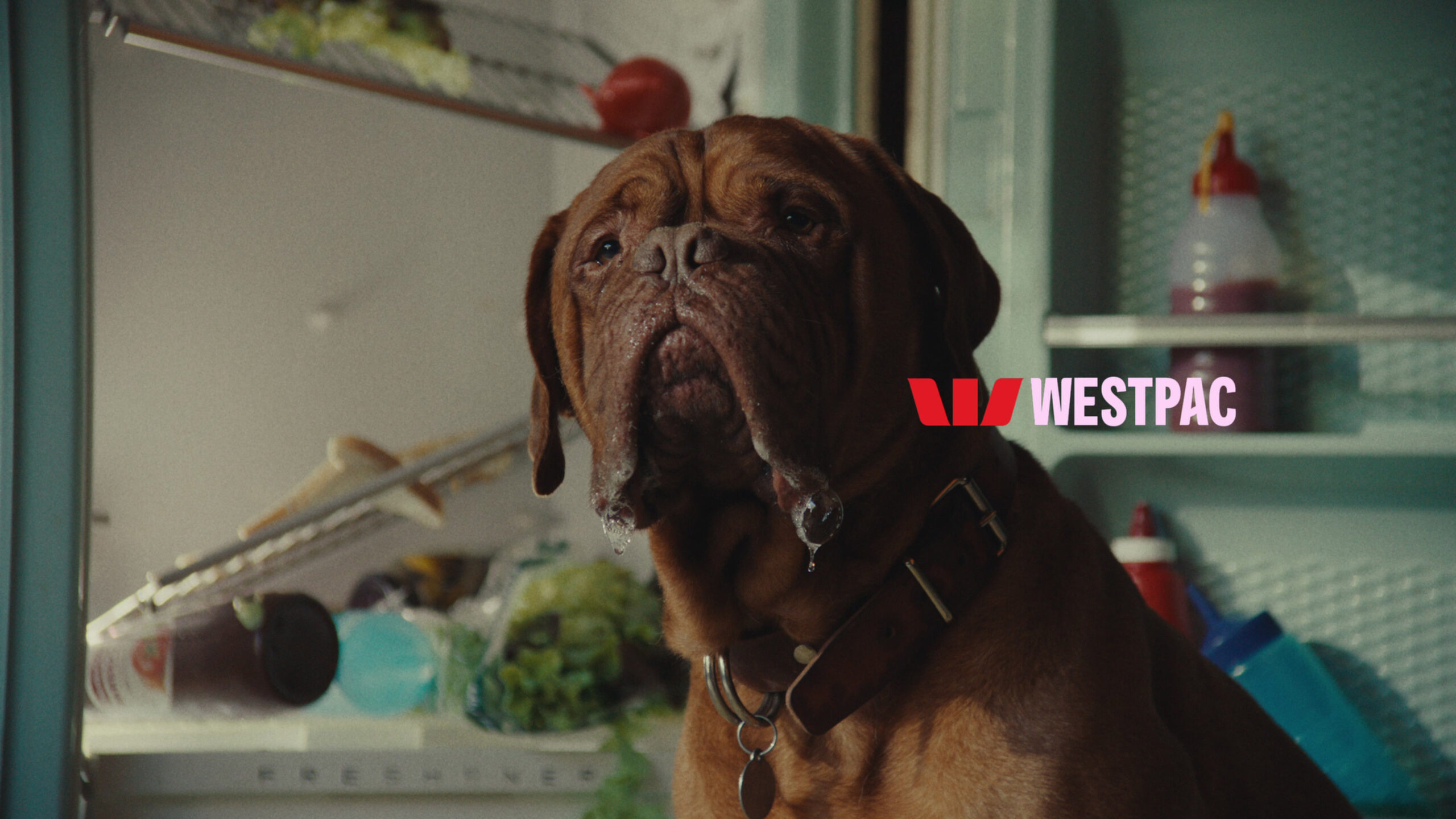 WESTPAC_FRIDGE_TITLES_00090699