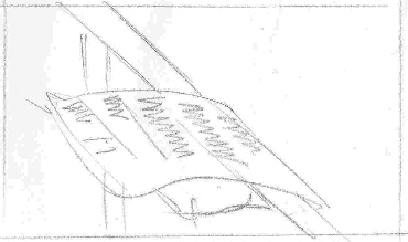 81