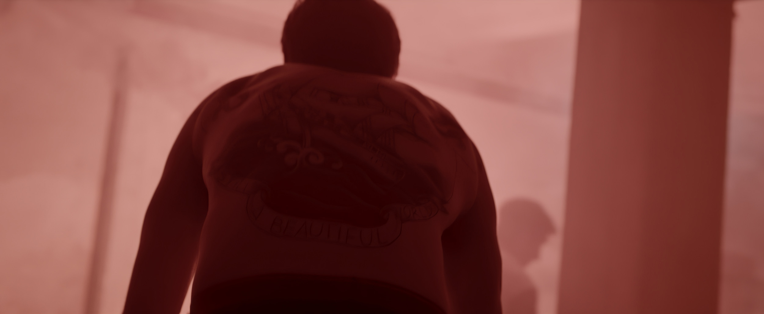 COKE_ZERO_- ASH_BOLLAND_____ (40)